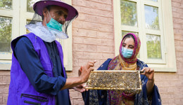 Making the most of your mercy in Kashmir