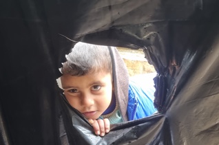 Gaza Emergency Fund