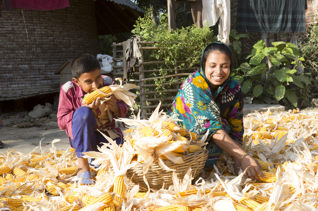 Livelihoods Fund