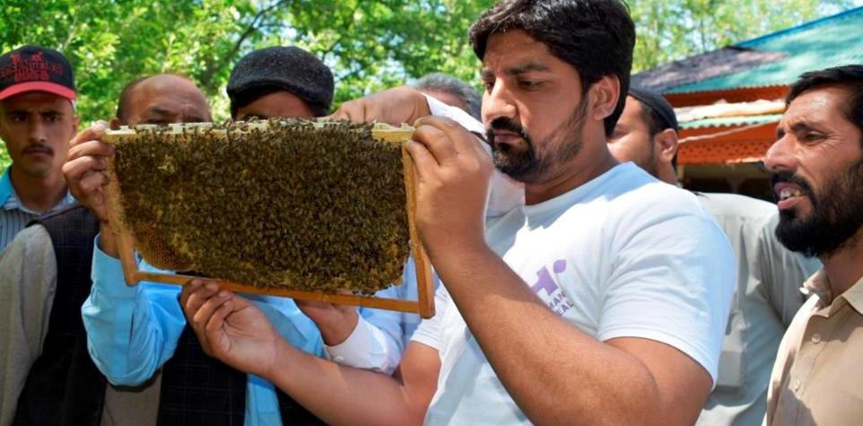 Shahid, Programme Manager, Kashmir