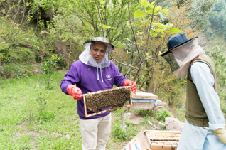 Honey Bee Farm