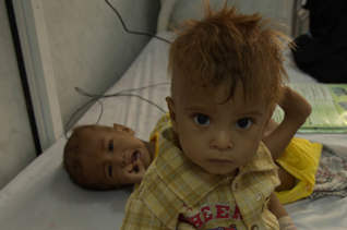 Yemen Crisis Appeal